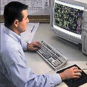 Architect Working on Project
